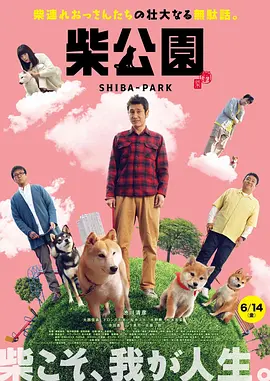 2023年双十一