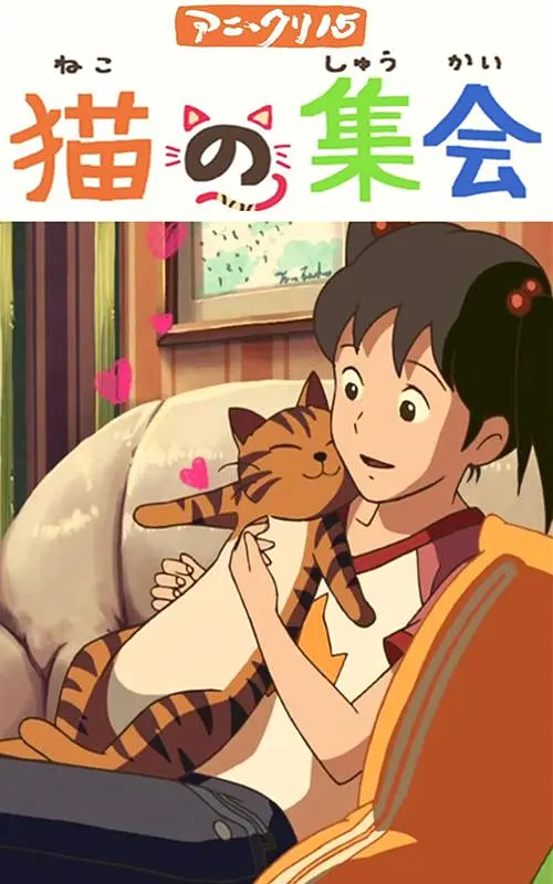 岛国不卡