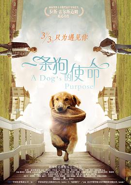 冈江凛av