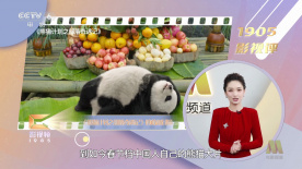 欧美午夜激情影院